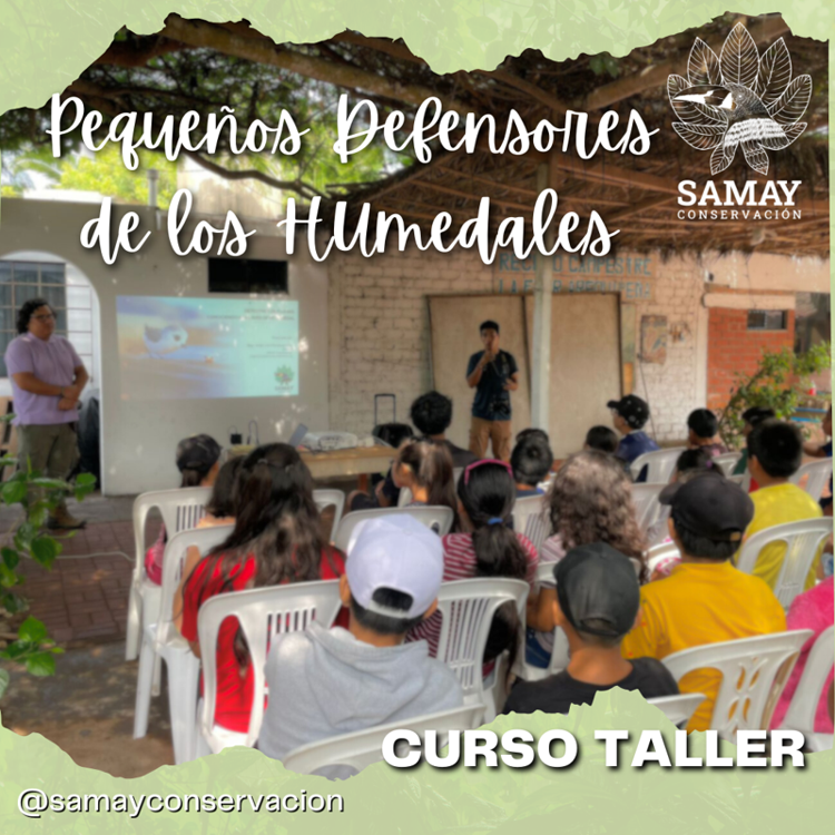 Taller educativo