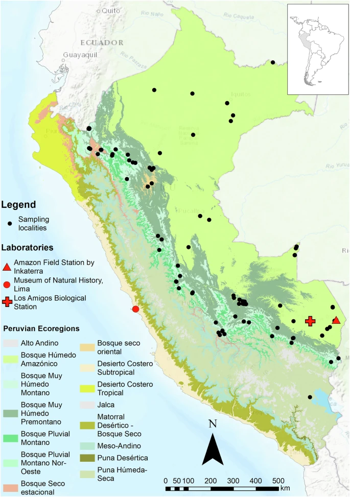 Publicación científica